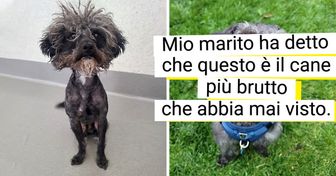 15 + proprietari di animali domestici che hanno adottato un randagio in difficoltà che si è poi trasformato in una soffice nuvola d’amore