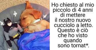 14 foto che possono migliorare il tuo umore più di quanto possano fare le pillole di serotonina