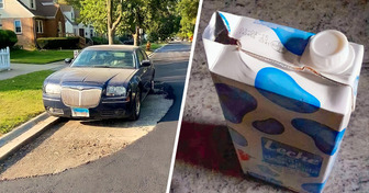 20+ foto che faranno restare interdette anche le menti più brillanti