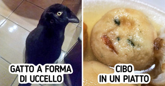 15 foto così confusionarie da rendere facile persino la matematica