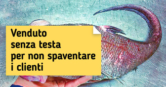 20+ creature insolite che potrebbero essere i personaggi principali di una storia di fantasia