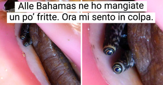 18 persone le cui vite non saranno più le stesse dopo le vacanze