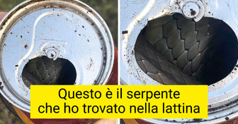 17 scoperte fatte per caso che ti faranno sgranare gli occhi