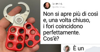 19 cose misteriose che solo i “detective” di Internet potevano identificare