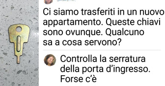 17 persone che si sono appena trasferite e non si aspettavano di affrontare degli imprevisti