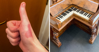 20 foto che dimostrano che le avventure potrebbero aspettarti proprio dietro l’angolo