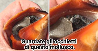 14 Persone che hanno avuto la fortuna di imbattersi in qualcosa di rarissimo