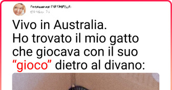 20+ persone che volevano una vacanza da sogno, ma qualcosa è andato storto