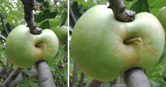 16 scatti epici che ci hanno lasciato a bocca aperta mentre scorrevamo il feed