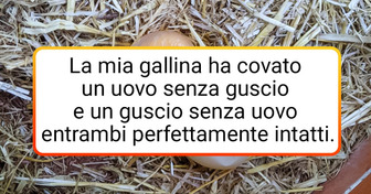 13 foto che dimostrano che il mondo è pieno di miracoli