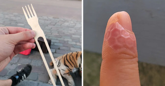 15 foto che ci lasciano con un sacco di domande