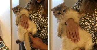 15 foto che ti faranno sentire come se dovessi riavviare gli occhi