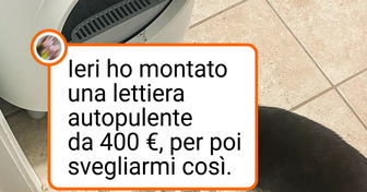 20+ animali instancabili che sanno come far impazzire i propri padroni
