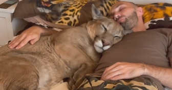 Qualche tempo fa ti abbiamo raccontato di una coppia che ha adottato un puma e adesso vogliamo aggiornarti su come procede la loro vita insieme