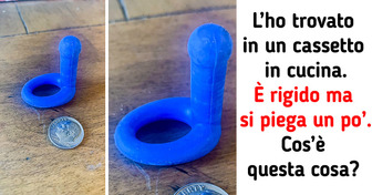 15 persone hanno scoperto oggetti insoliti e Internet le ha aiutate ad identificarli