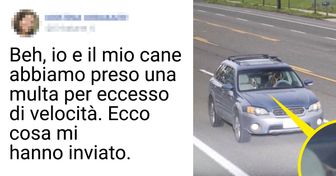 17 foto che rivelano la vera natura degli animali