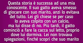 15 storie che dimostrano quanto sono davvero intelligenti gli animali