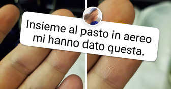 15 viaggiatori hanno mostrato le cose interessanti che hanno trovato negli aeroporti e negli aerei