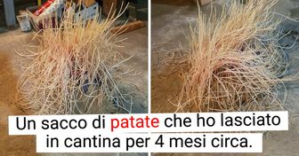 Più di 20 foto che mostrano cosa succede alle cose quando ci dimentichiamo della loro esistenza