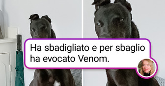 14 animali vivaci che ti faranno venire un colpo al cuore