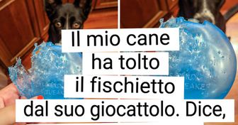 16 foto che dimostrano che la vita sa essere ironica