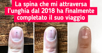 18 persone che hanno visto cose più uniche che rare