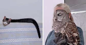 15 foto che ti confonderanno le idee più di un problema di matematica