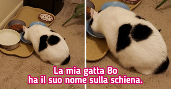 15 foto naturalmente spettacolari