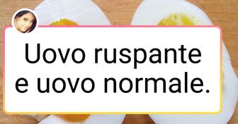 20 volte in cui il paragone ha evidenziato una differenza fenomenale