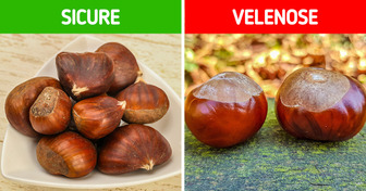 Come distinguere 9 coppie di piante che si possono confondere facilmente