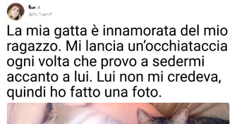 20 palle di pelo a cui non importa delle buone maniere