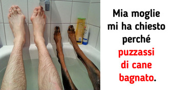 13 persone che si sono trovate in situazioni comiche che hanno dovuto condividere