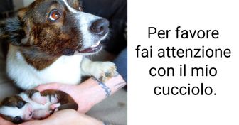 15+ foto che mostrano che il vero amore è tale in ogni forma e dimensione