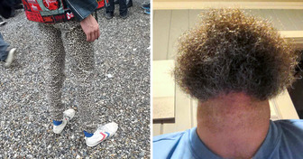 15 immagini da esporre nel museo della confusione