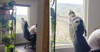 16 foto che ti risolleveranno l’umore durante una giornata piovosa