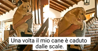 20 volte in cui degli animali si sono comportati da bambini