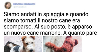 19 storie di animali che i padroni vogliono condividere con noi