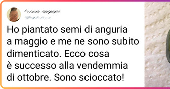 16 giardinieri che ci hanno sorpreso con il loro raccolto