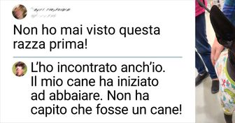 16 animali che ci hanno sorpreso a causa del loro aspetto