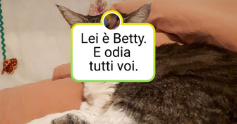 20 animali talmente espressivi che meriterebbero tutti un Oscar