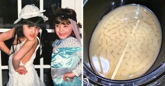 14 foto strane che ci hanno fatto fermare per guardarle più da vicino