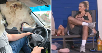 Oltre 15 foto che hanno ridefinito il concetto di tempismo perfetto