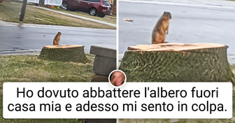 20 persone la cui giornata era noiosa fino a quando non sono accadute cose impreviste