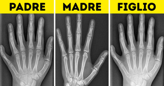 15 fatti curiosi che ti lasceranno davvero senza parole