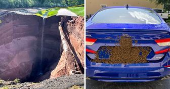 18 persone che, a prima vista, hanno osservato qualcosa di completamente diverso dalla realtà