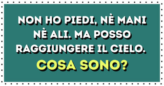 12 indovinelli per bambini “Cosa sono?” che possono mettere alla prova anche gli adulti