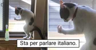 16 persone ci mostrano i loro animali “rotti”