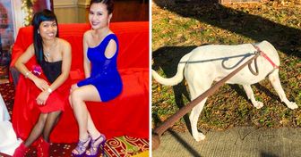 15+ foto talmente sconvolgenti da aver bisogno di una spiegazione