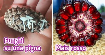 23 persone che sono state così fortunate da trovare gli Easter Egg di Madre Natura