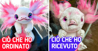 15 persone che non hanno ricevuto quello che si aspettavano